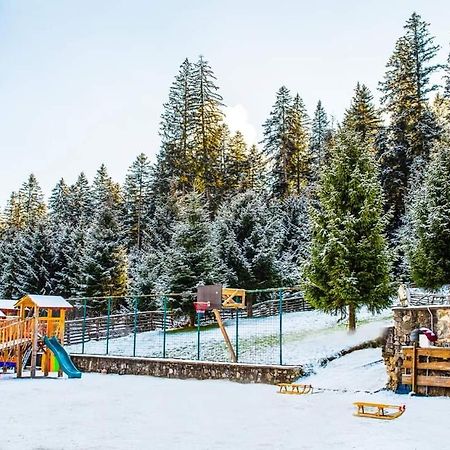 Hotel Floare De Colt Mînăstirea Humorului エクステリア 写真
