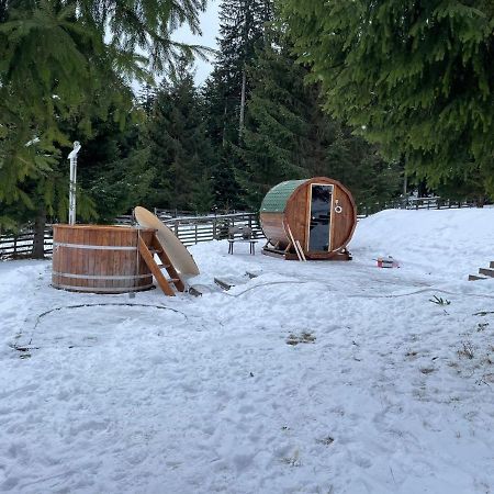 Hotel Floare De Colt Mînăstirea Humorului エクステリア 写真
