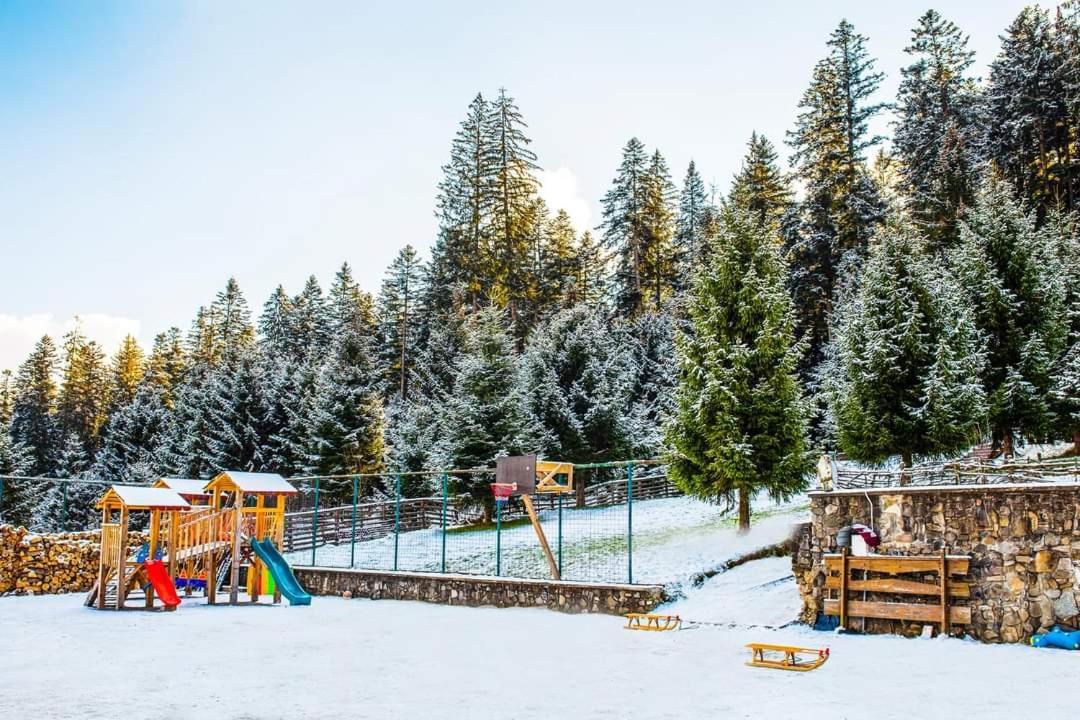 Hotel Floare De Colt Mînăstirea Humorului エクステリア 写真