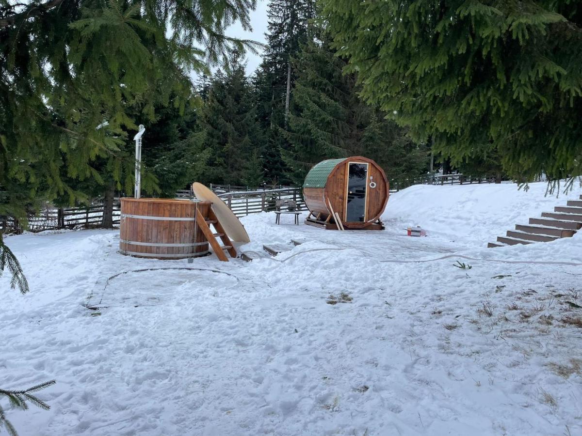 Hotel Floare De Colt Mînăstirea Humorului エクステリア 写真