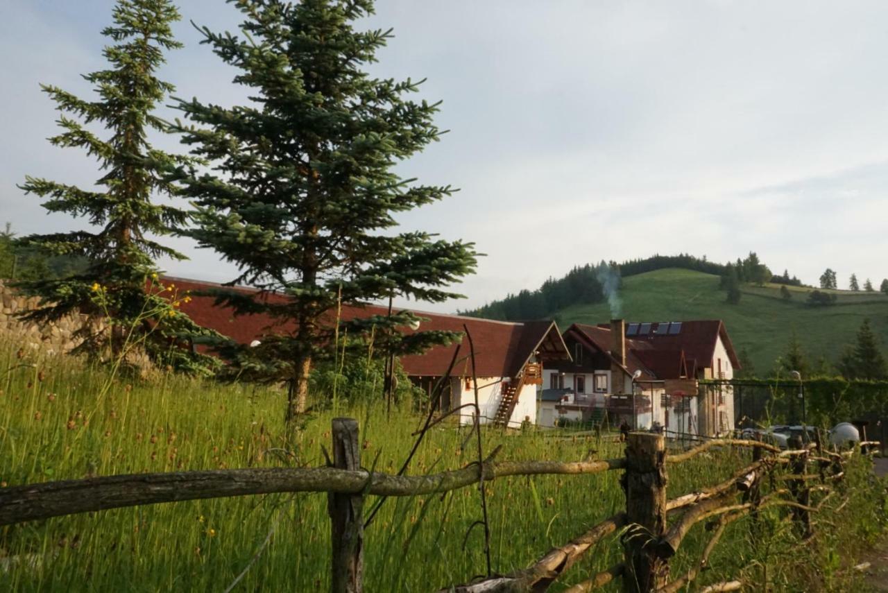 Hotel Floare De Colt Mînăstirea Humorului エクステリア 写真