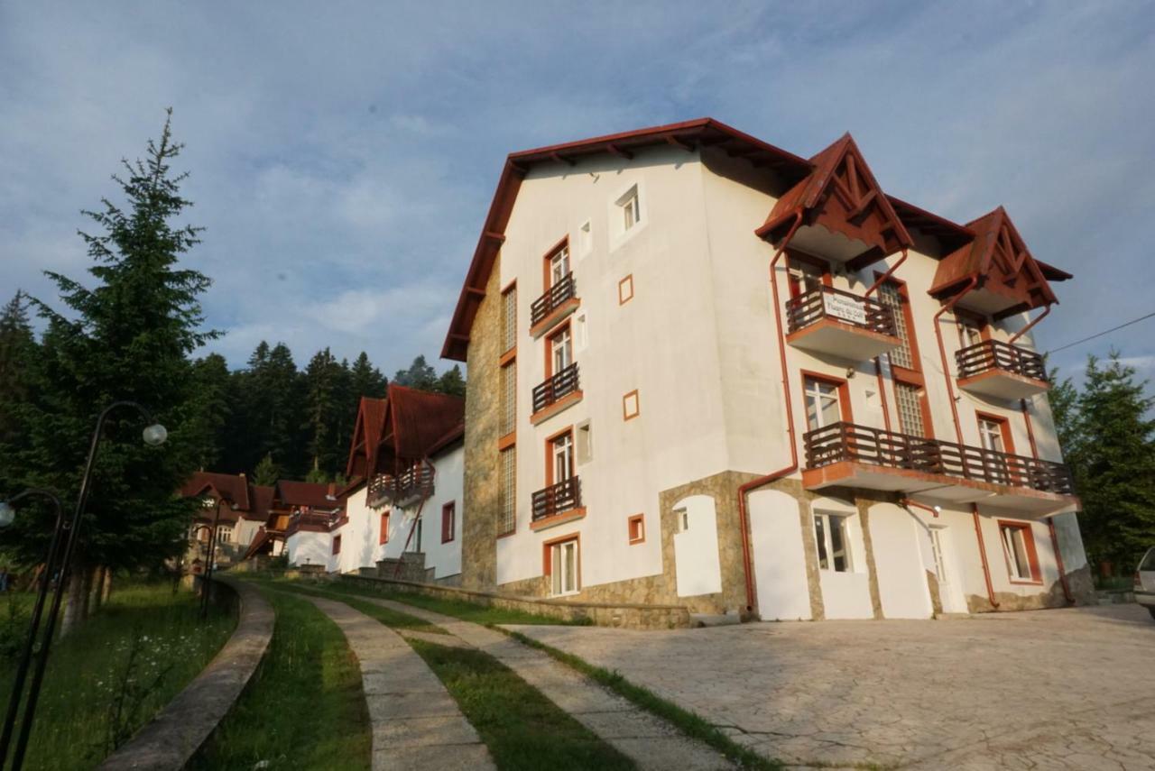 Hotel Floare De Colt Mînăstirea Humorului エクステリア 写真