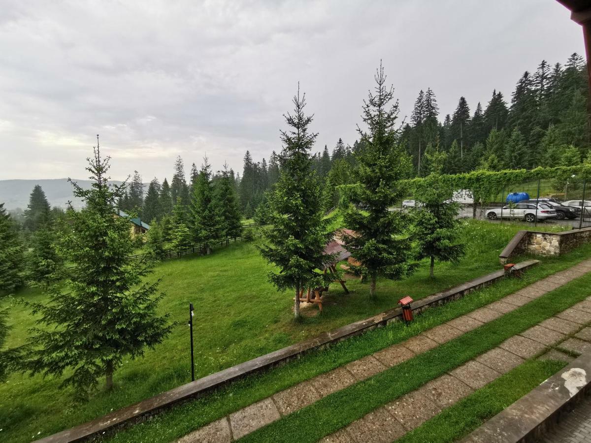 Hotel Floare De Colt Mînăstirea Humorului エクステリア 写真