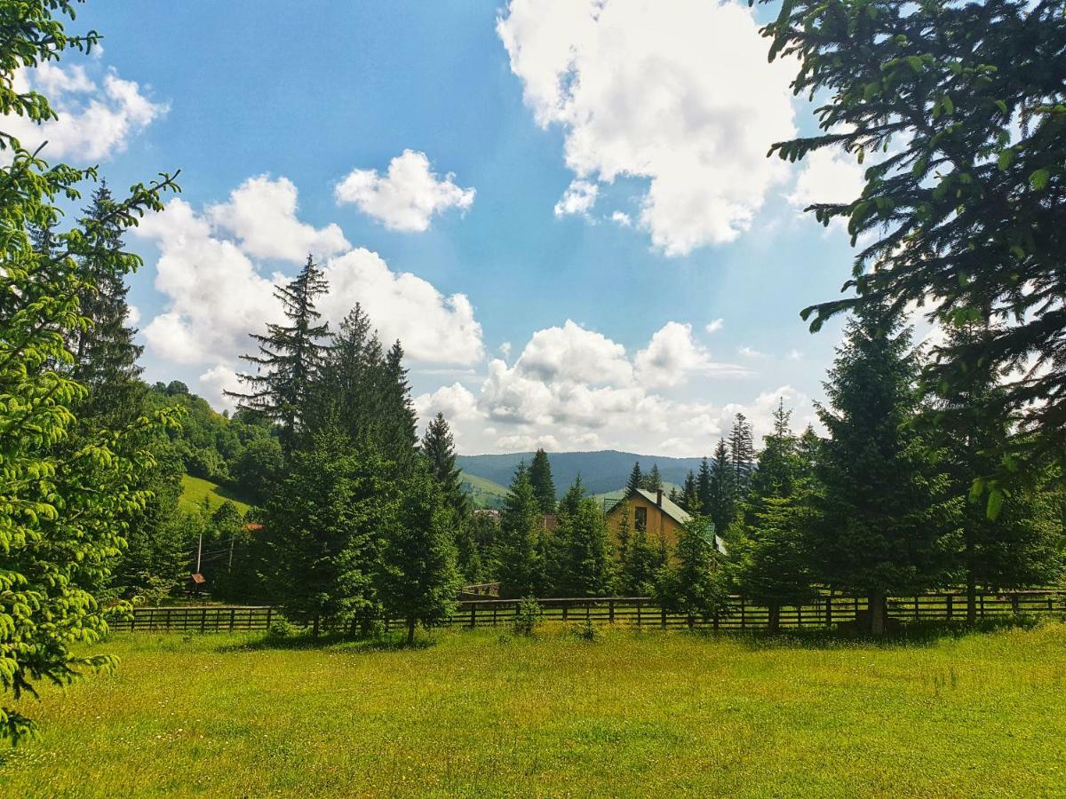 Hotel Floare De Colt Mînăstirea Humorului エクステリア 写真