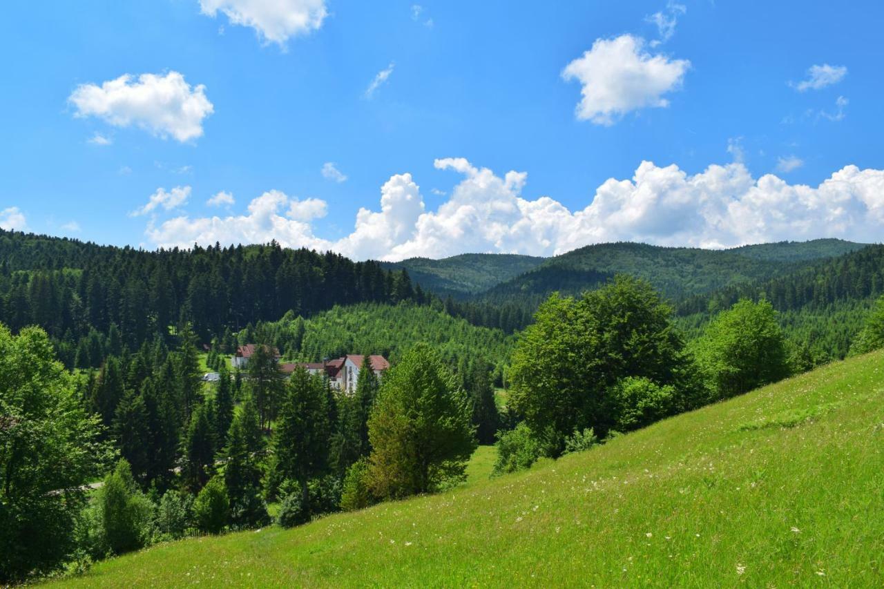 Hotel Floare De Colt Mînăstirea Humorului エクステリア 写真