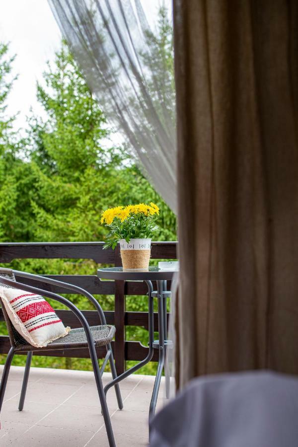 Hotel Floare De Colt Mînăstirea Humorului エクステリア 写真