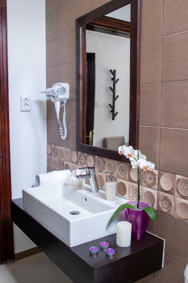 Hotel Floare De Colt Mînăstirea Humorului エクステリア 写真