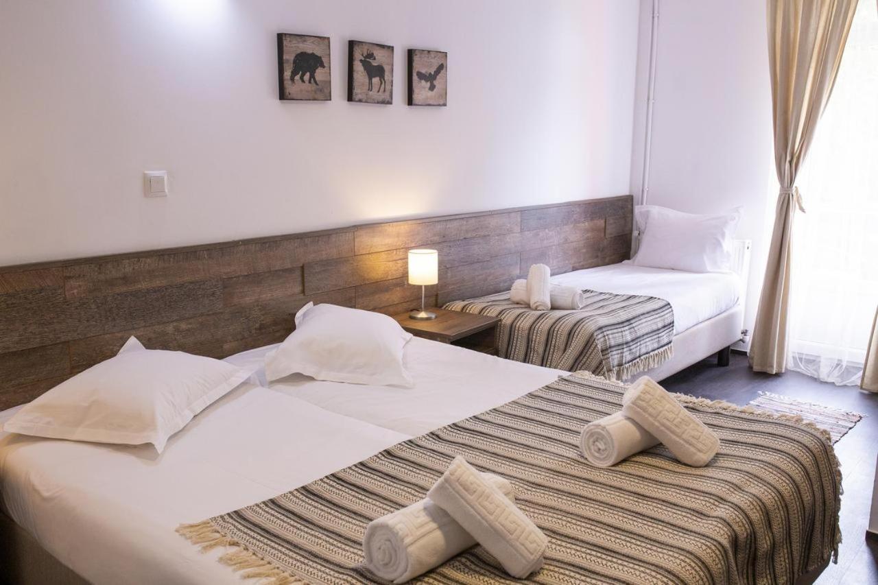 Hotel Floare De Colt Mînăstirea Humorului エクステリア 写真